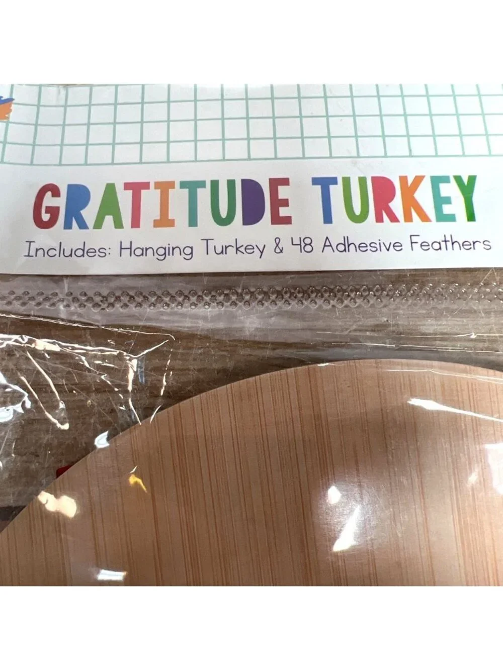 Gratitude Turkey Kit With Hanging Board & 48 Adhesive Feathers Thanksgiving Craf